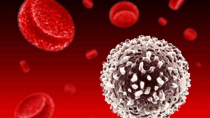 Багато лейкоцитів у крові: причини і наслідки