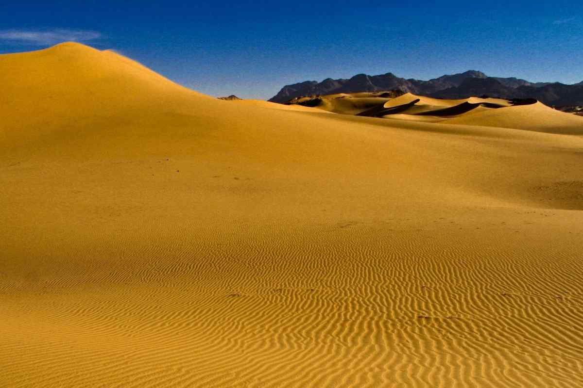 Цукру (пустеля). Протяжність пустелі Сахари