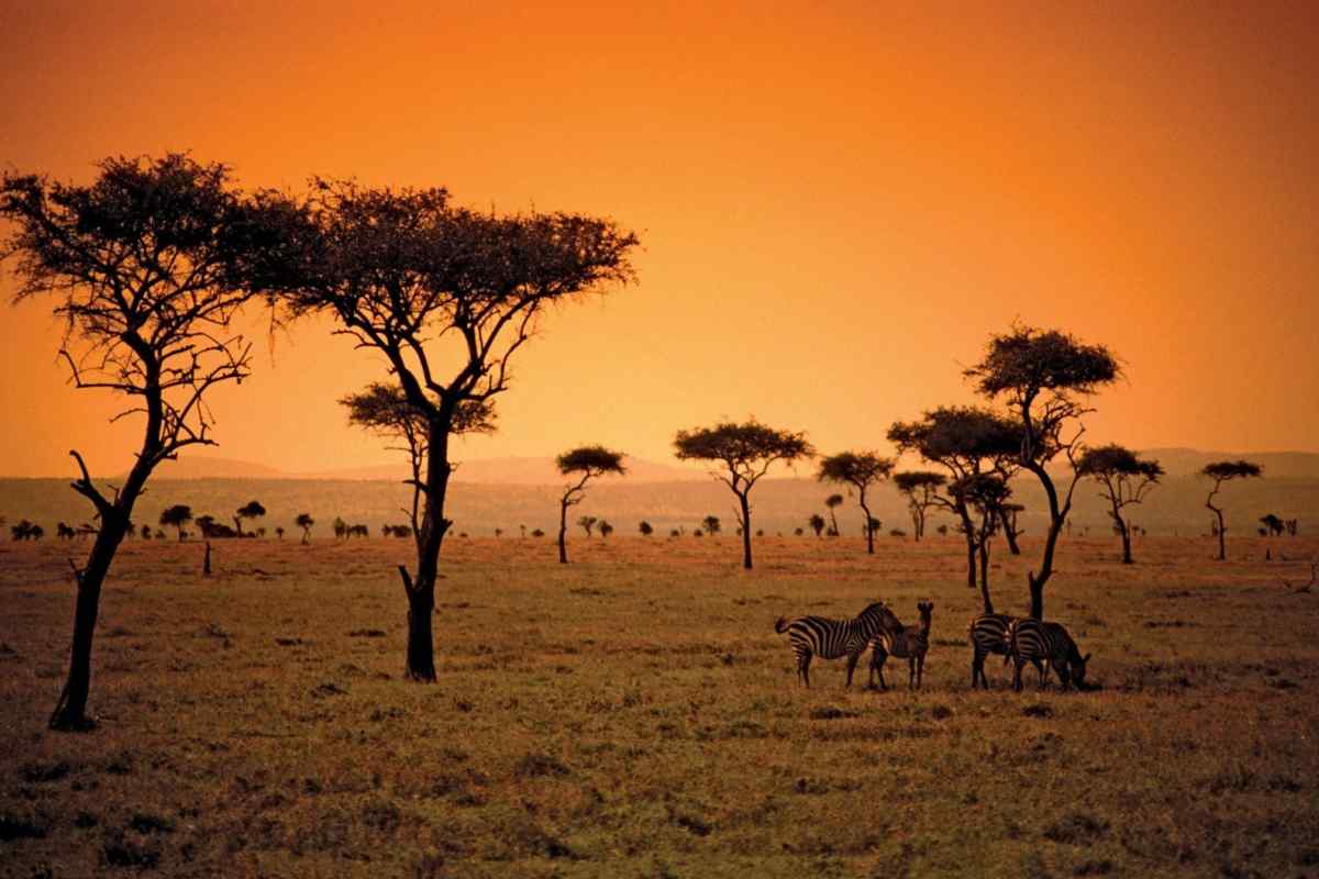 Клімат Африки і його особливості
