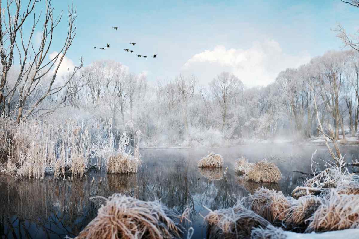 Опис зимової природи - особливості та цікаві факти