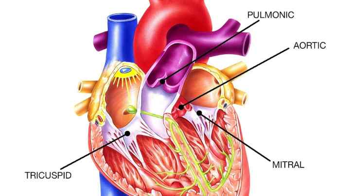Тисне серце - це ознака стенокардії