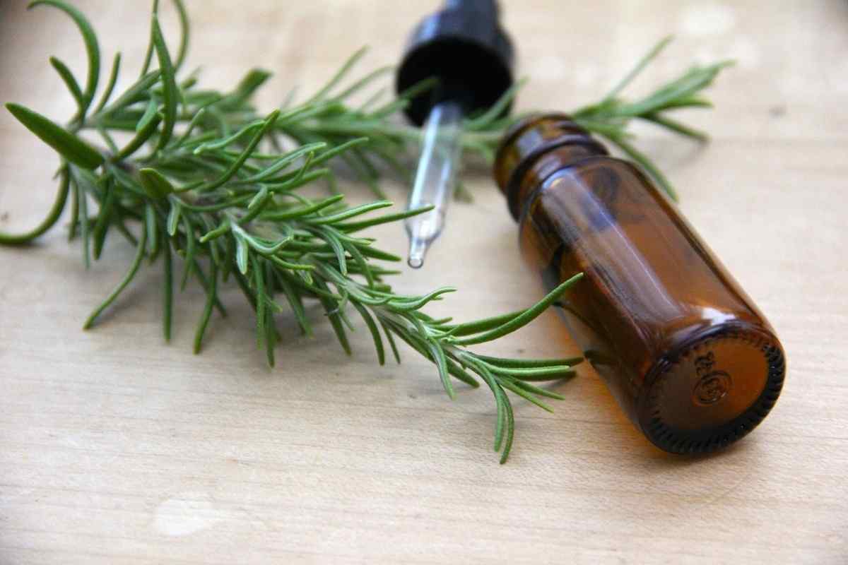 Олія розмарина: рецепти для оздоровлення волосся
