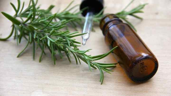 Олія розмарина: рецепти для оздоровлення волосся