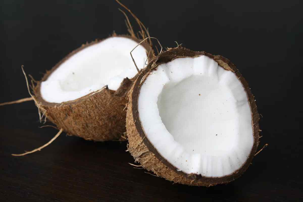 Чим корисний кокос? Чи корисний кокос?