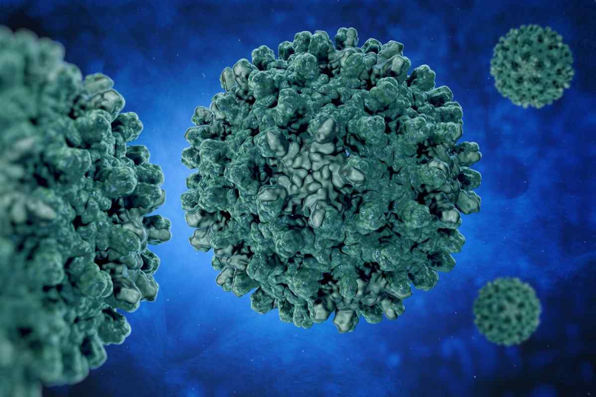 Які є віруси: види, класифікація, характеристика, вірусні захворювання, лікування та наслідки