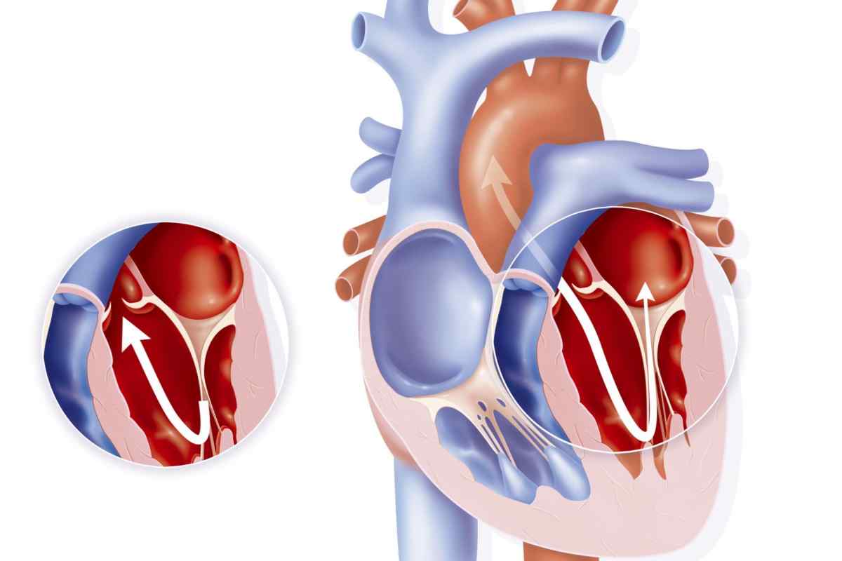 Гемодинаміка серця: загальна характеристика і показники