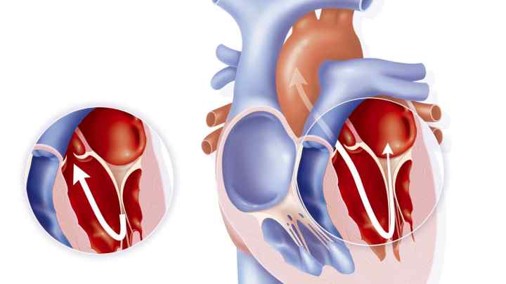 Гемодинаміка серця: загальна характеристика і показники
