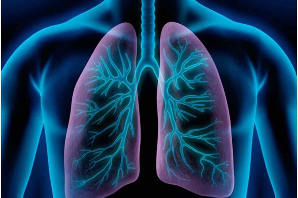 Коріння легенів ущільнено: що це означає?