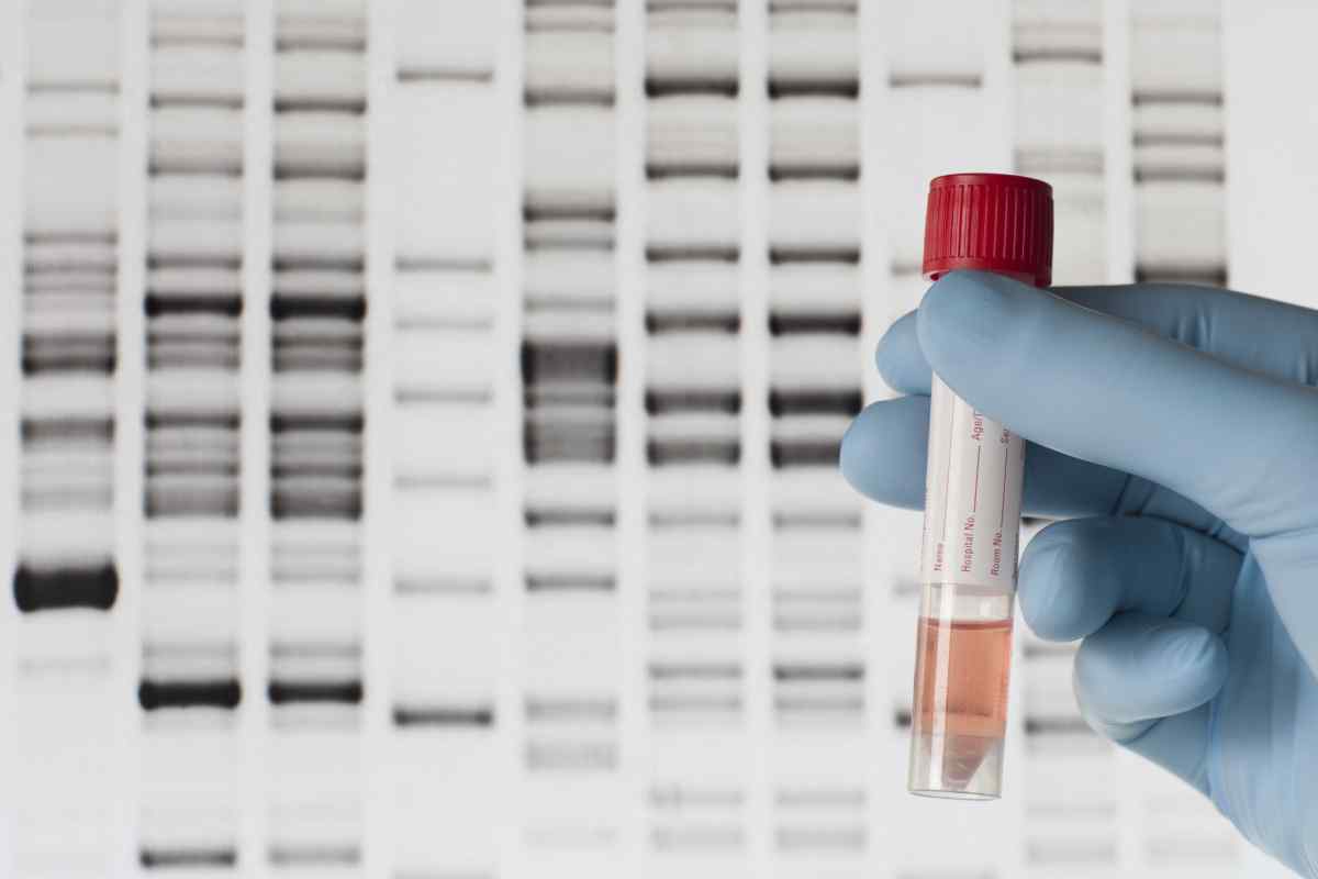 Генетична двійка: генетичні дослідження, правила здачі, проведення процедури, аналізи та розшифровка показників