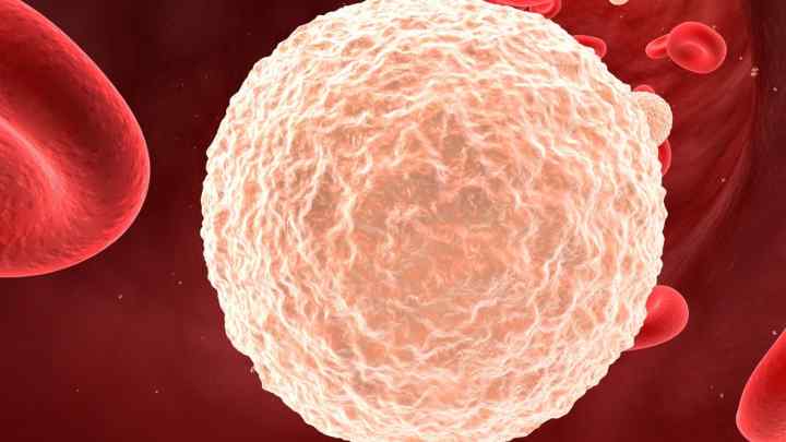 Чому підвищені лейкоцити в крові після пологів: причини та лікування