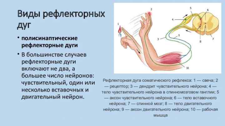 Як придушувати блювотний рефлекс: причини появи, швидкі та прості методи придушення, фізіологія людини, будова горла, горлянки та стравоходу