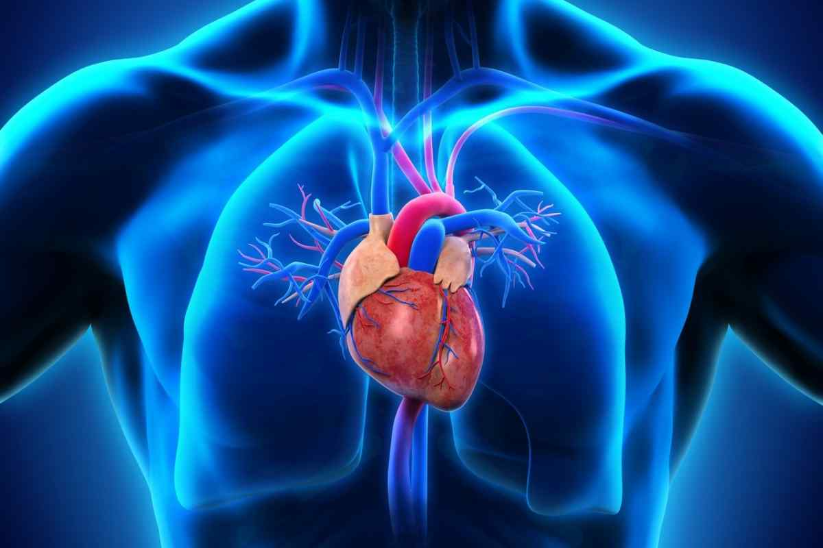 Окклюдер для серця: поняття, значення, особливості встановлення, результати, побічні ефекти, показання та протипоказання