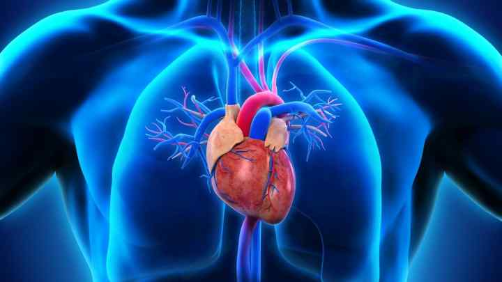 Окклюдер для серця: поняття, значення, особливості встановлення, результати, побічні ефекти, показання та протипоказання