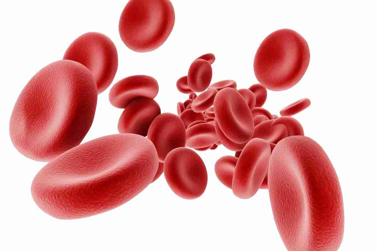 Що піднімає гемоглобін найкраще?