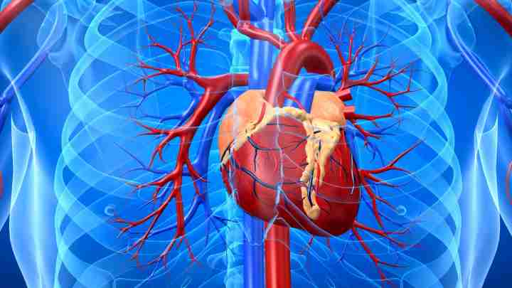 Міксома серця: діагностика та лікування