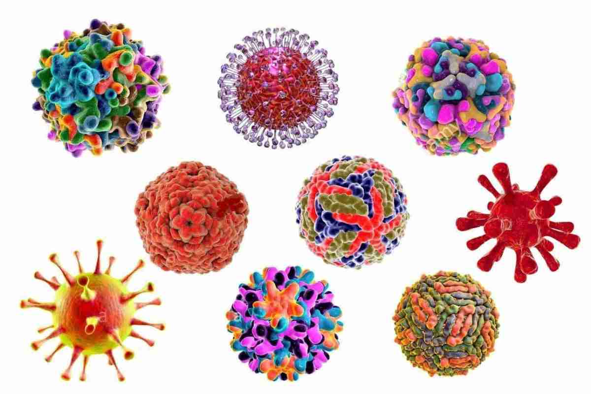 Типи вірусів. Які віруси бувають у людини?
