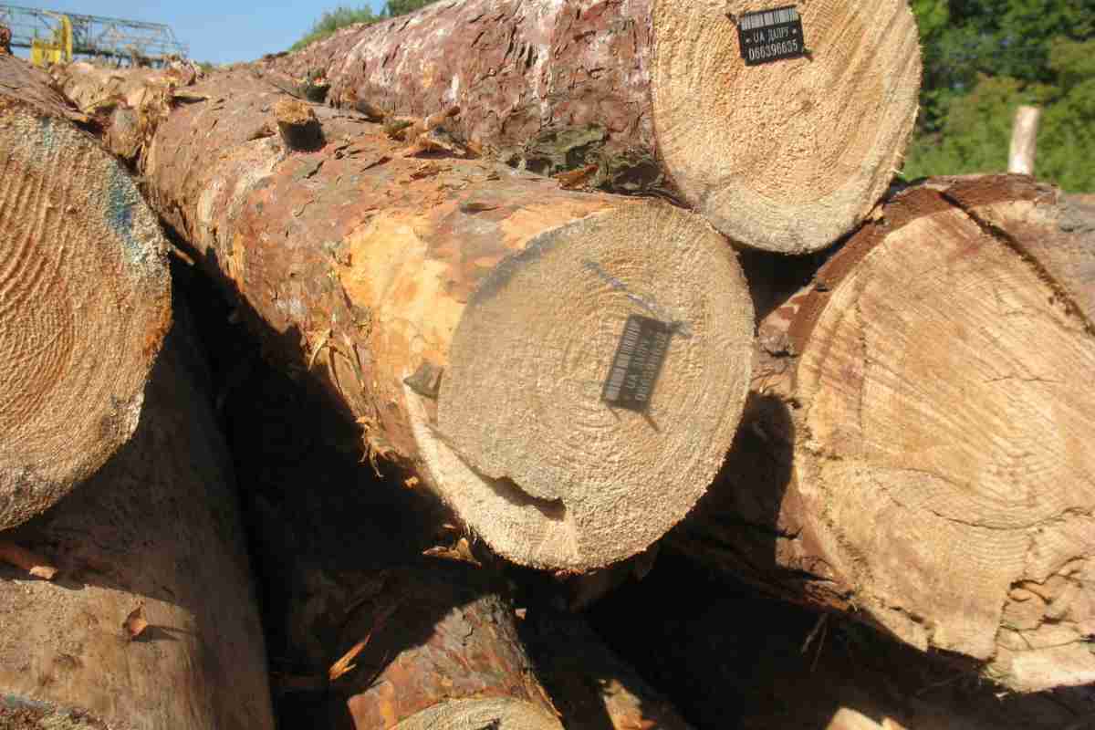 Стабілізація деревини в домашніх умовах: склади і технологія. Переваги стабілізованої деревини