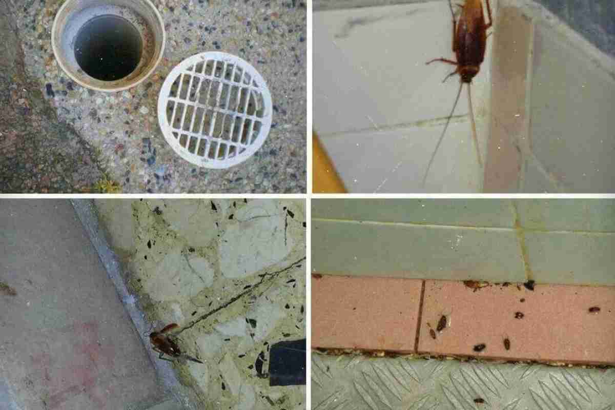 У будинку і у ванній комахи. Що робити?