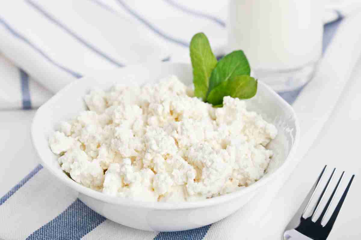 Сир: користь і шкода кисломолочного продукту