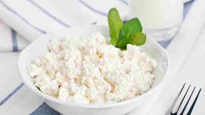 Сир: користь і шкода кисломолочного продукту