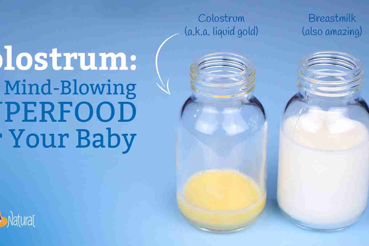 Як відрізнити молоко від молозива: ознаки, склад та основні відмінності