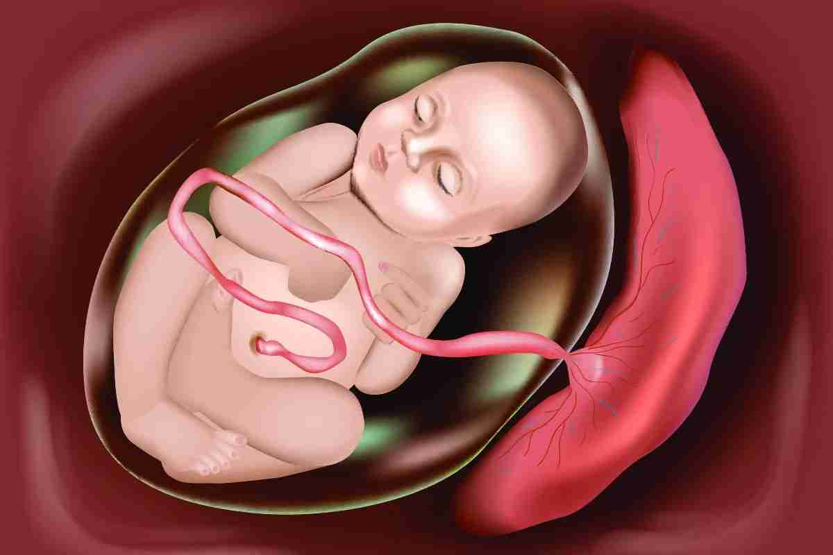 Відшарування плаценти на ранніх термінах вагітності: можливі причини і наслідки