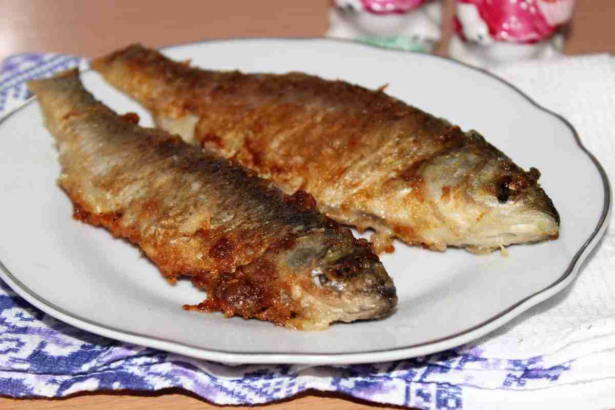 Що за риба чавича і як її готувати за смачними рецептами?