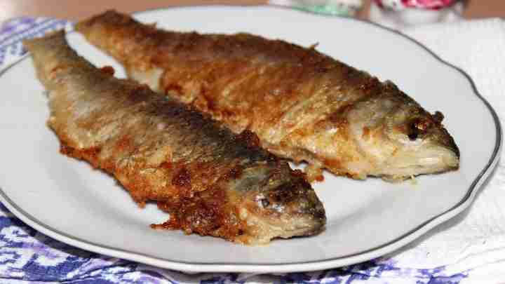 Що за риба чавича і як її готувати за смачними рецептами?