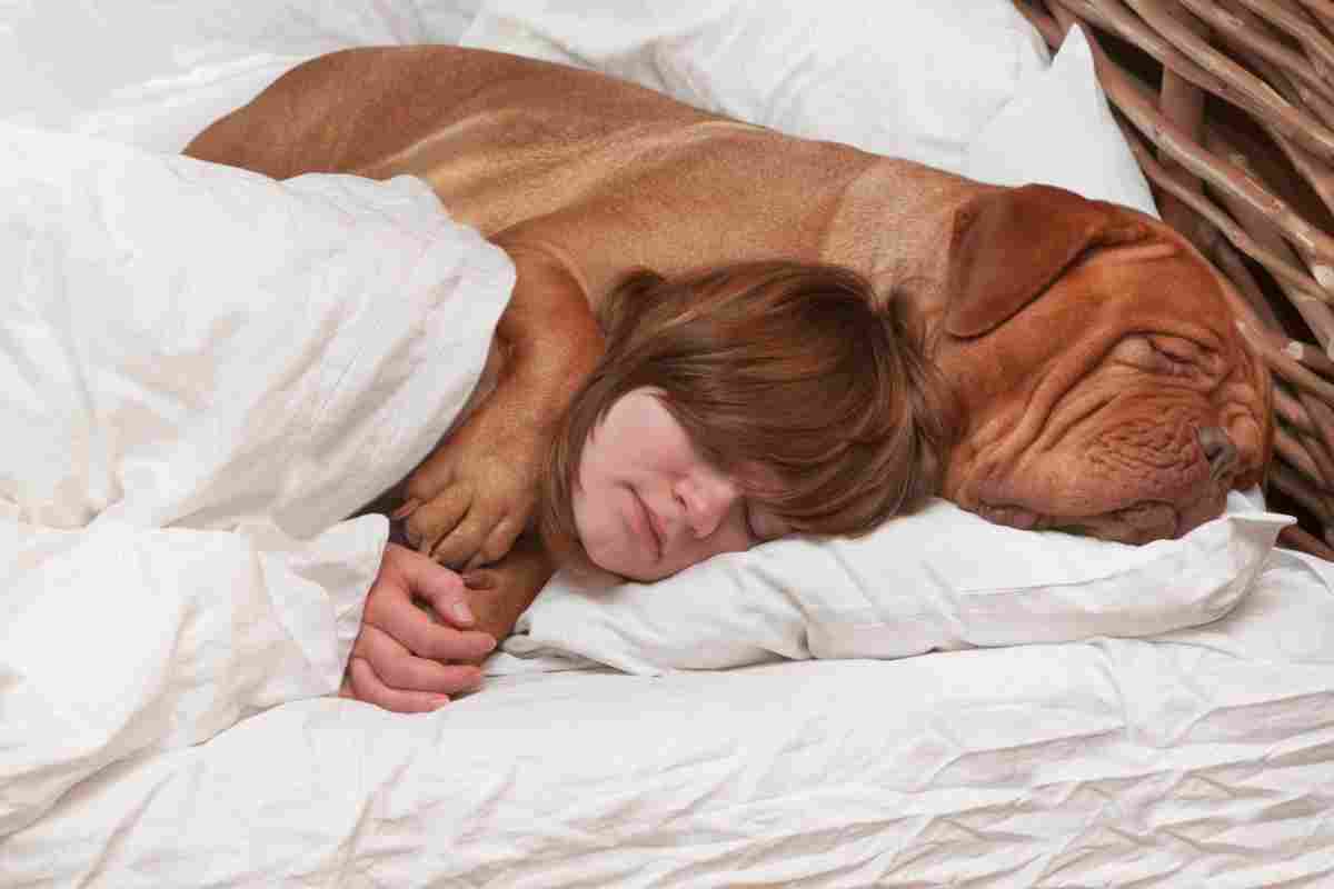 Бачити уві сні собаку - це до нового друга