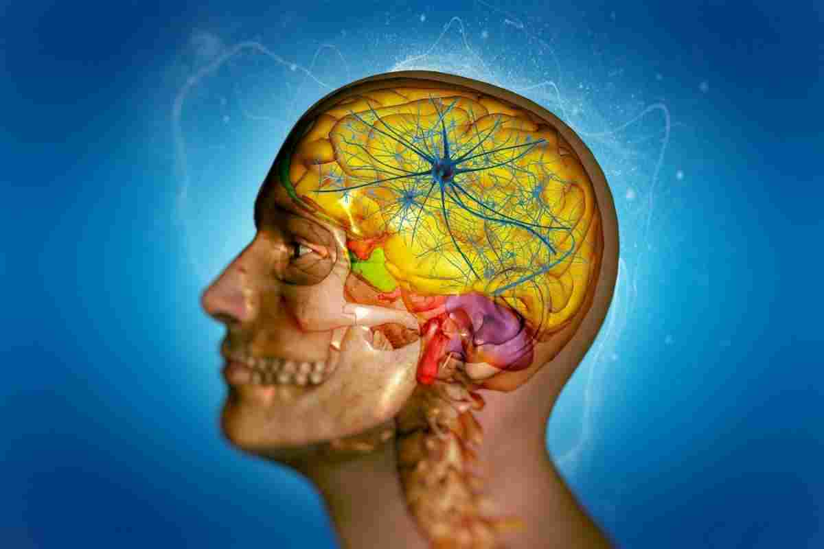 Демієлінізуюче захворювання головного мозку: лікування, прогнози, симптоми