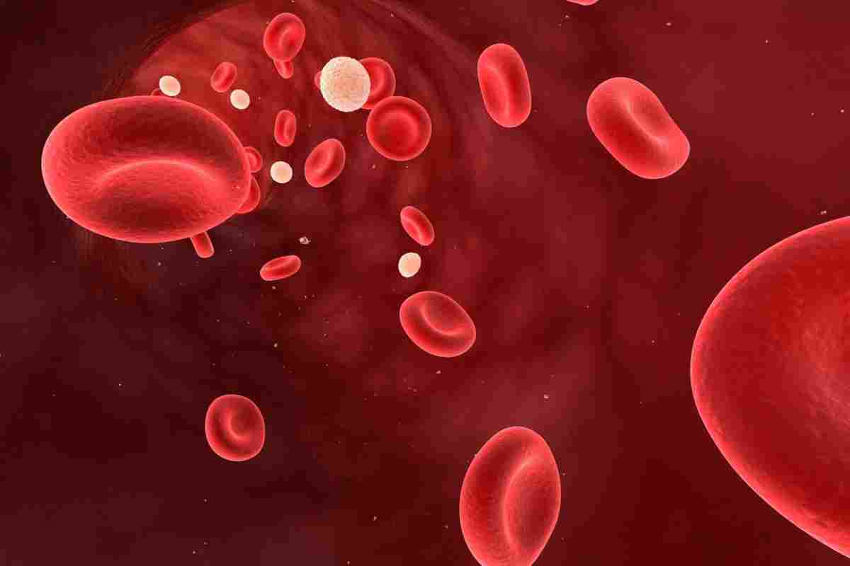 Яка норма кальцію в крові людини?