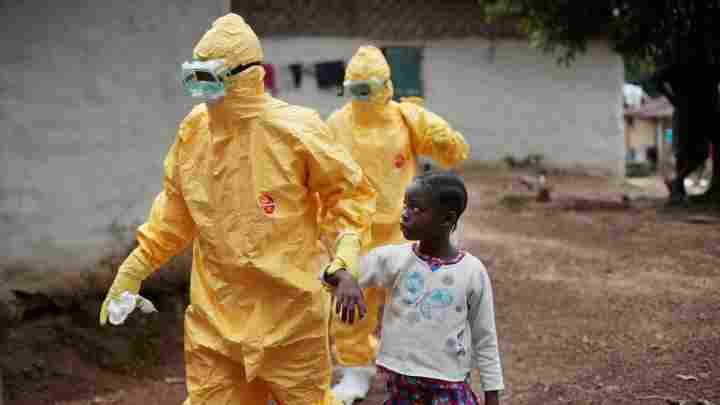 Звідки взявся вірус Ебола? Походження та історія вірусу Ебола