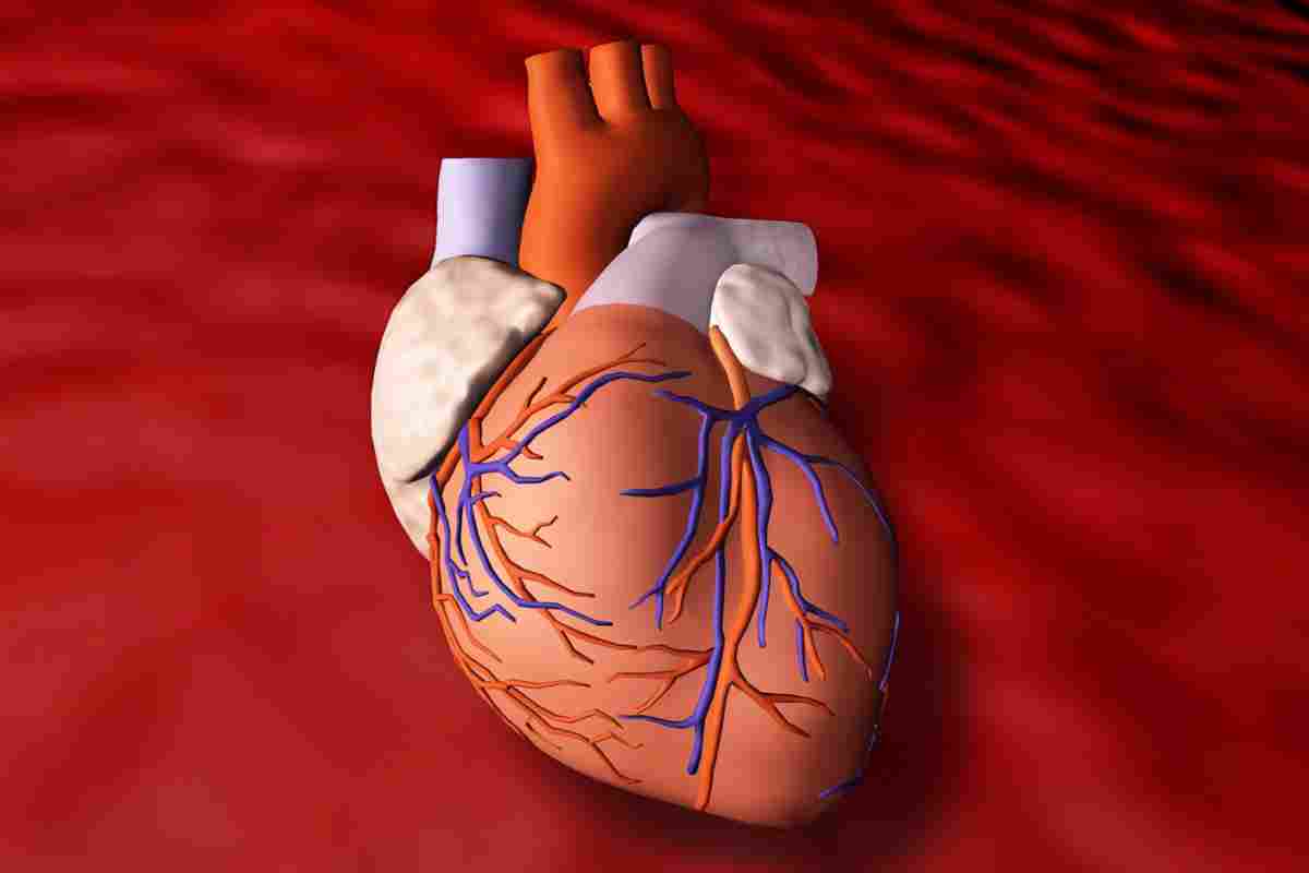 Кардіологія. Міокардіодистрофія серця
