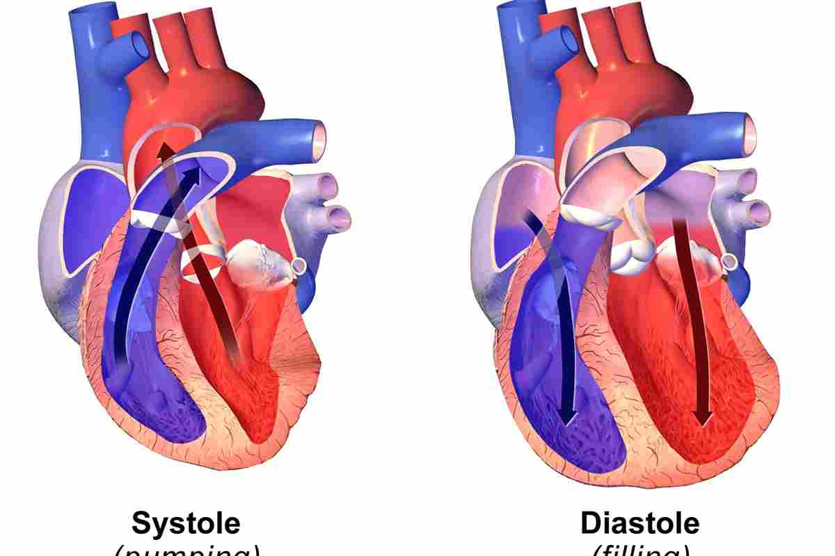 Що таке діастолічна дисфункція лівого шлуночка 1 типу?