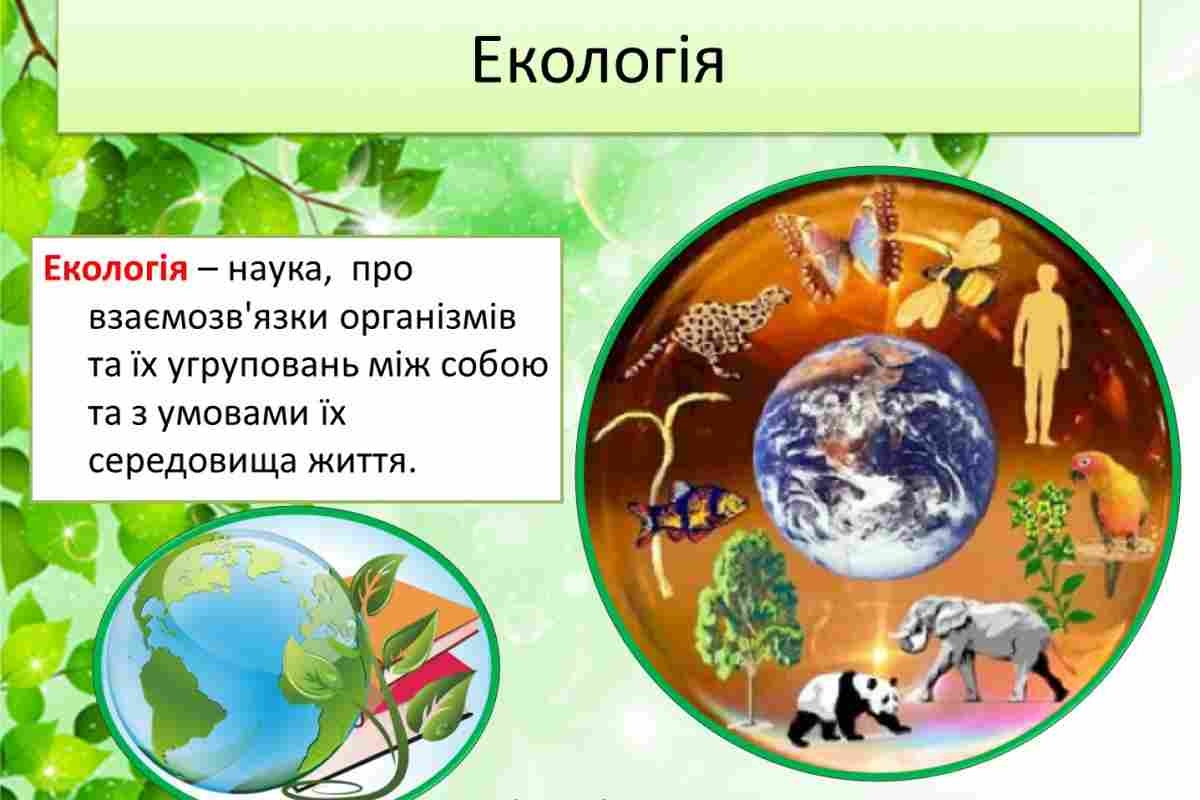 Організм і середовище