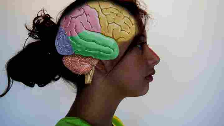 Мозок чоловіка і жінки