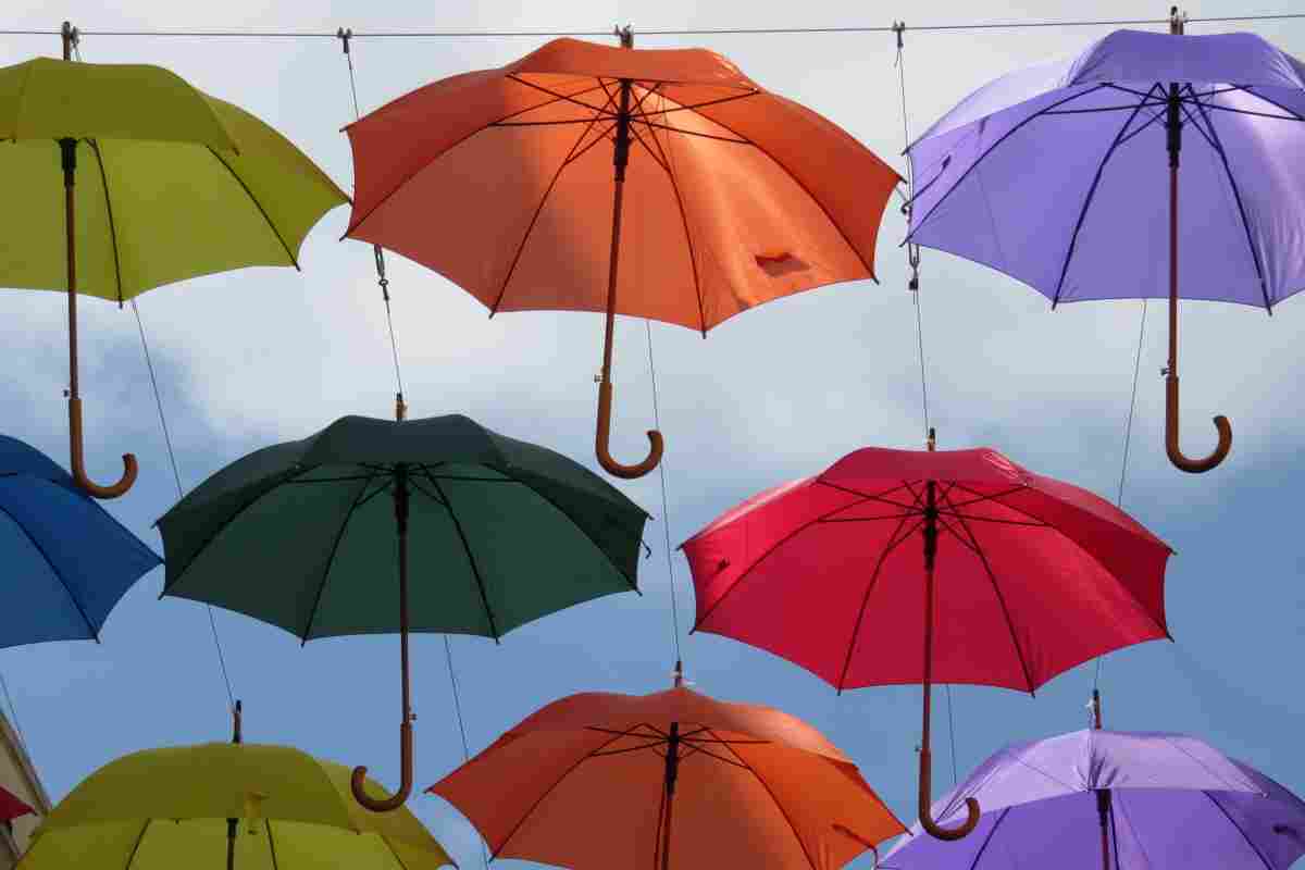 Модний практикум: шукаємо правильну парасольку