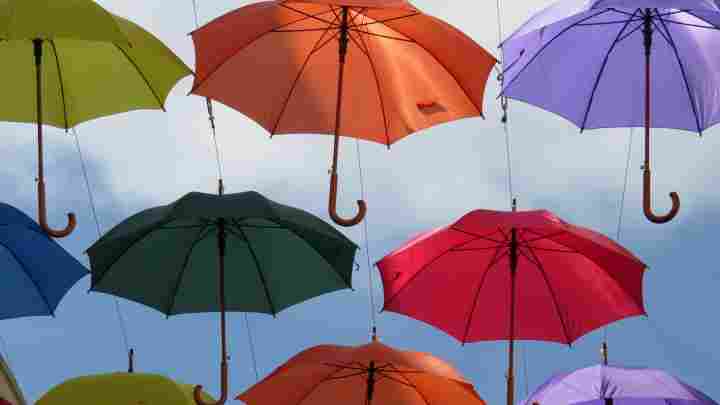 Модний практикум: шукаємо правильну парасольку
