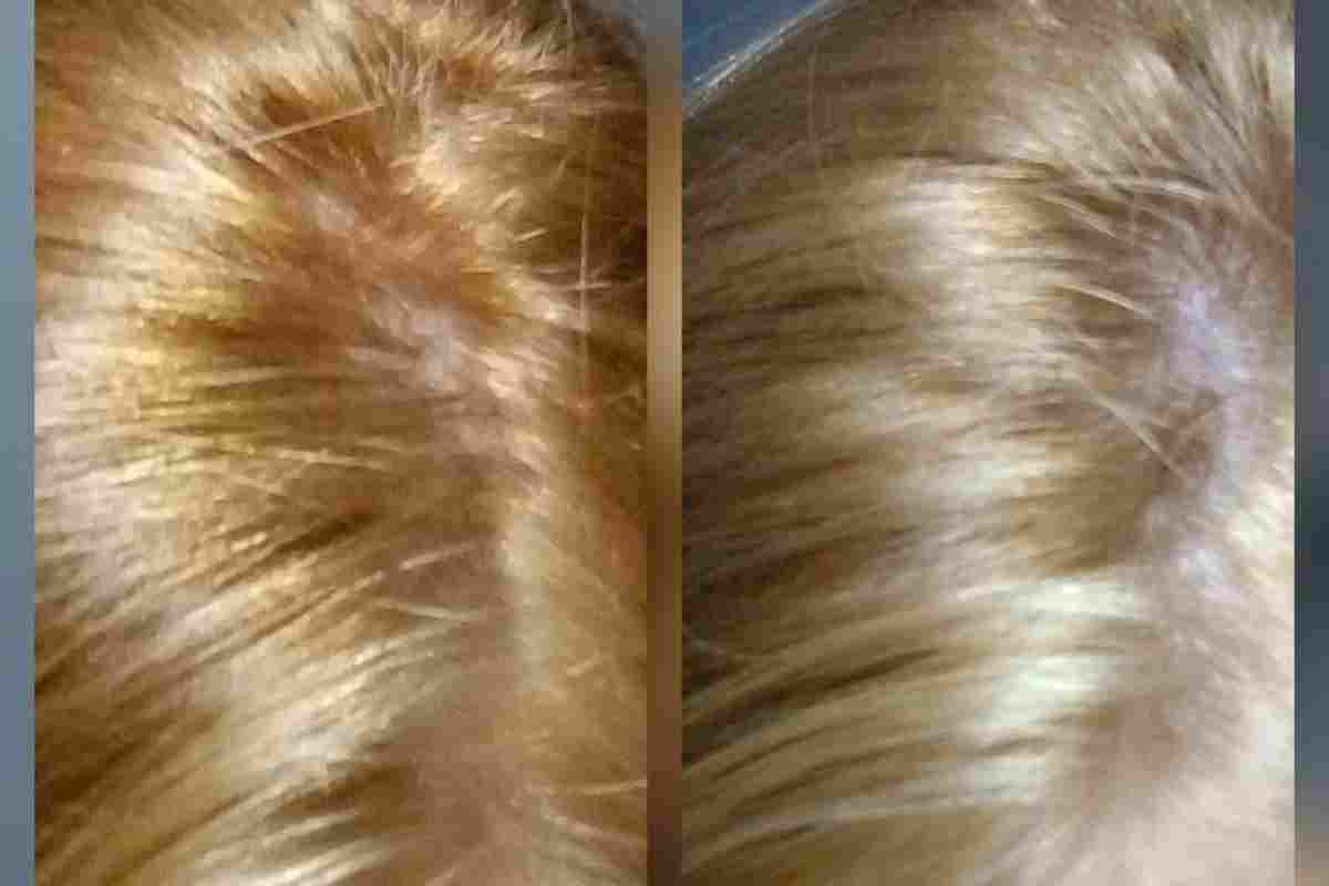 Як забрати жовтизну волосся після знецінення?
