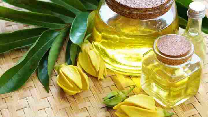 Ефірна олія іланг-іланг - властивості та 5 кращих рецептів для ефективного застосування