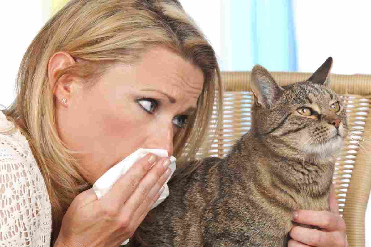 Алергія на кішок - в чому криється справжня причина, і що робити?