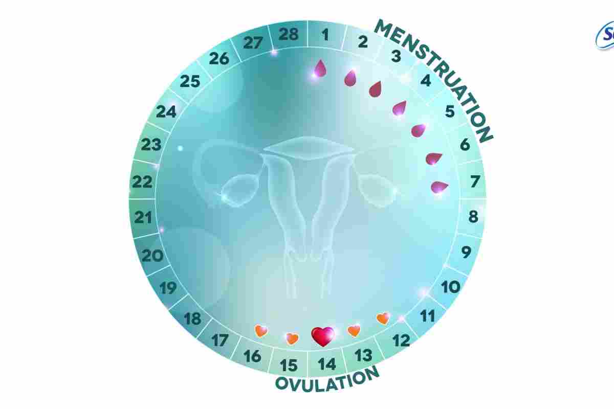 Збій менструаційного циклу - причини та способи налаштування нерегулярних місячних