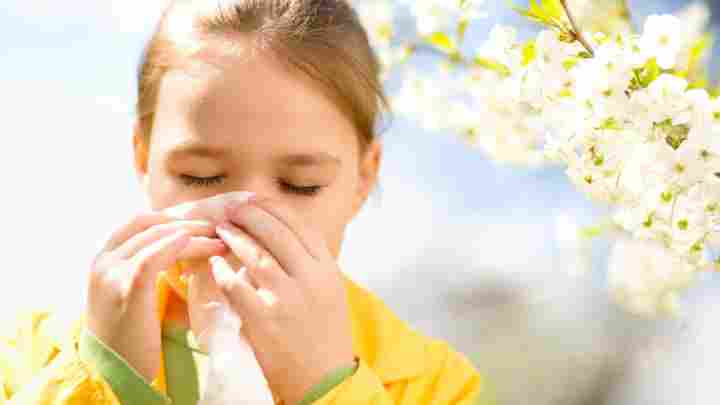 Алергія на мед - чому і як виявляється реакція?