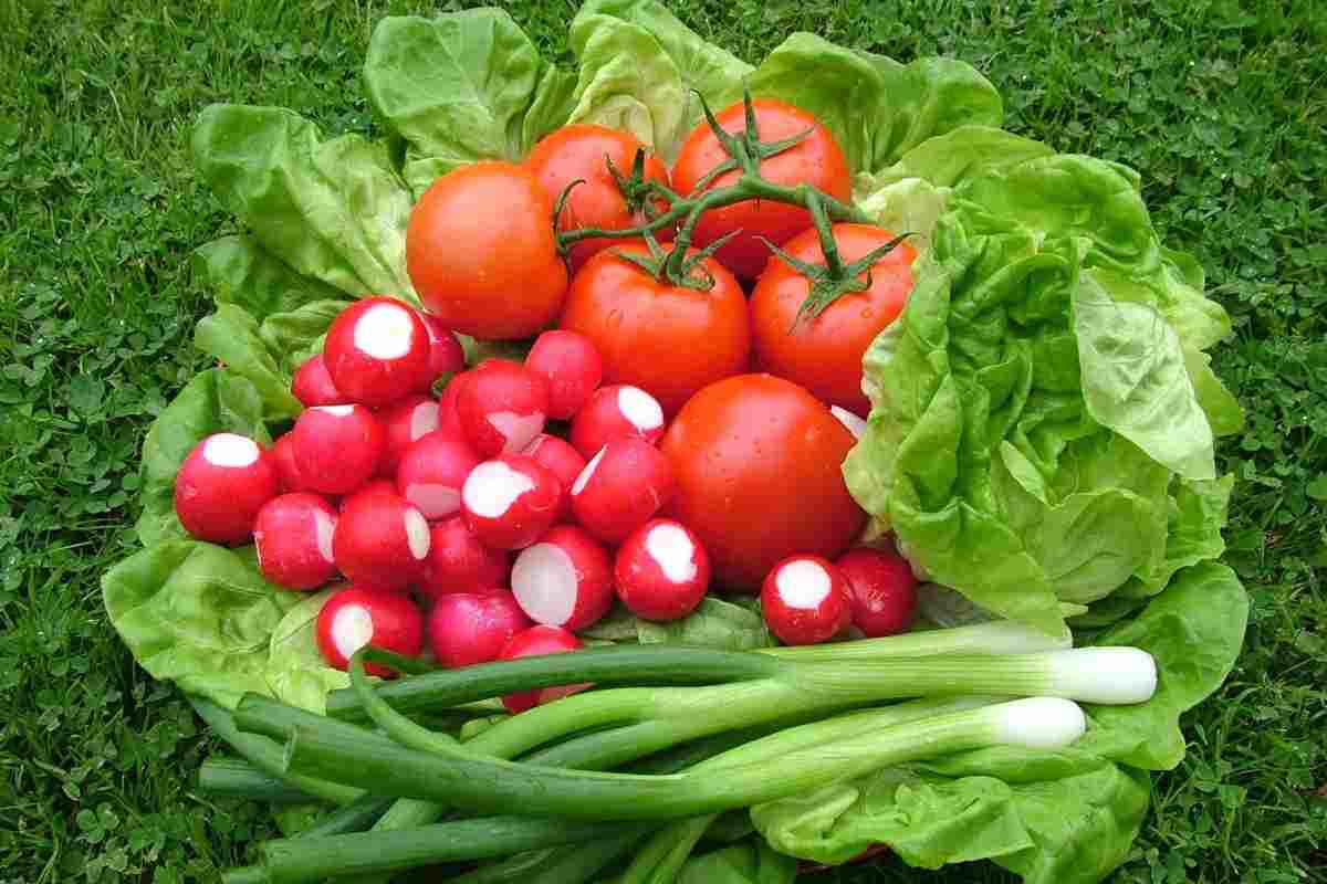 Салат з редиски з помідорами і цибулею