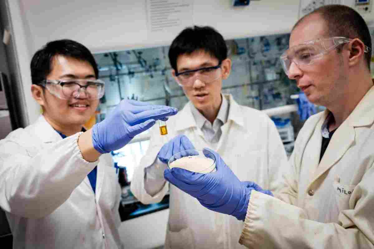 Сингапурські вчені розробили молекулярний мемристор - чіпи з ними можна буде змінювати під різні завдання
