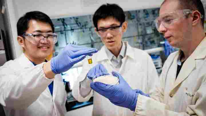  Сингапурські вчені розробили молекулярний мемристор - чіпи з ними можна буде змінювати під різні завдання