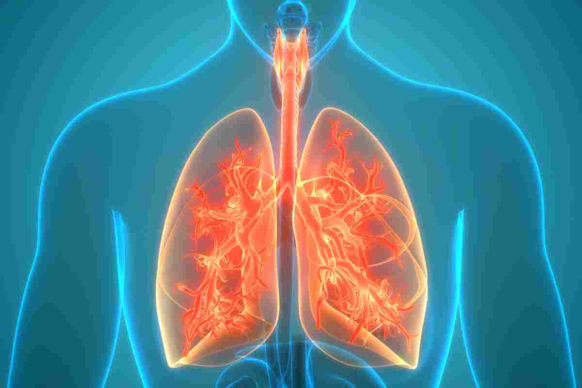 Фізіологія дихання