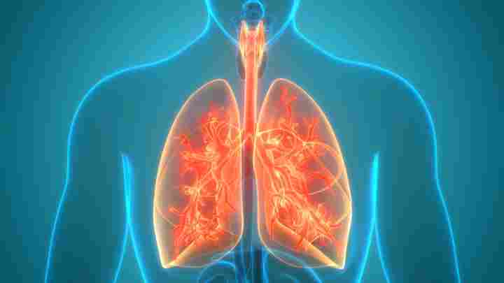 Фізіологія дихання