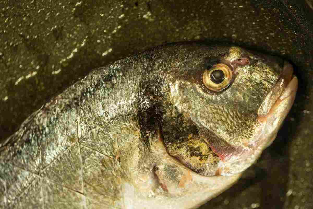 Як позбутися запаху тухлої риби