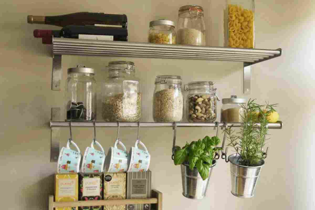 6 кімнатних рослин, якими можна прикрасити свою кухню